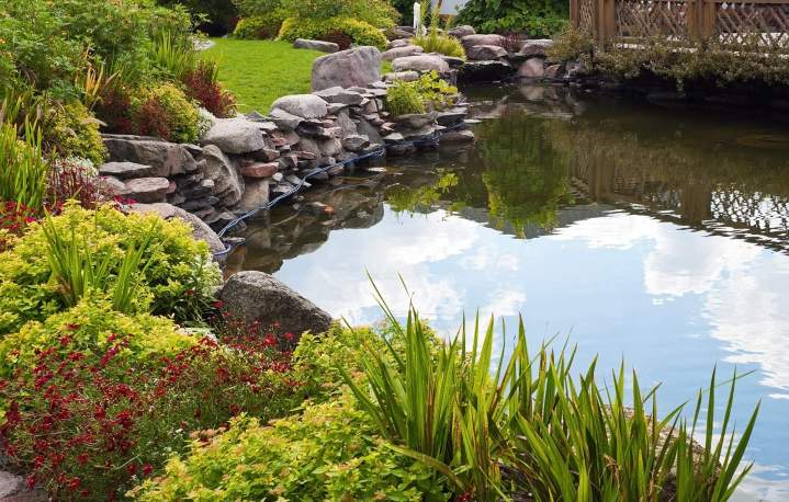 Milieu aquatique entretenu La Réunion
